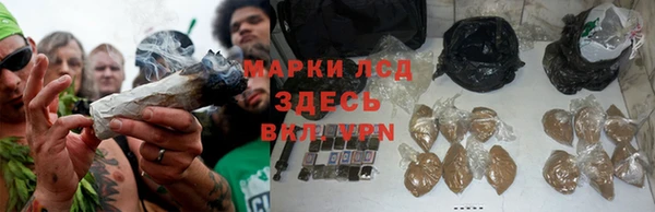 трава Ельня