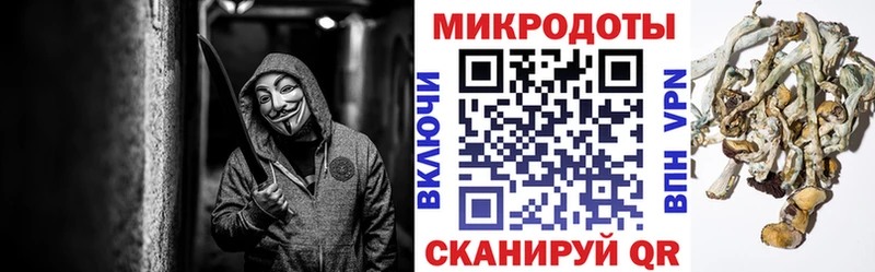 Псилоцибиновые грибы Cubensis Рассказово